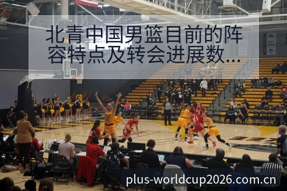 北青中国男篮目前的阵容特点及转会进展数据对比分析 - 世界杯竞猜平台